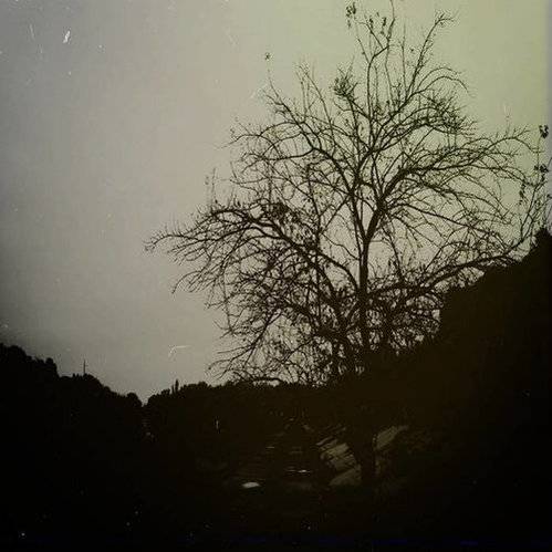 Inner Suffering (UKR) : Zephyr